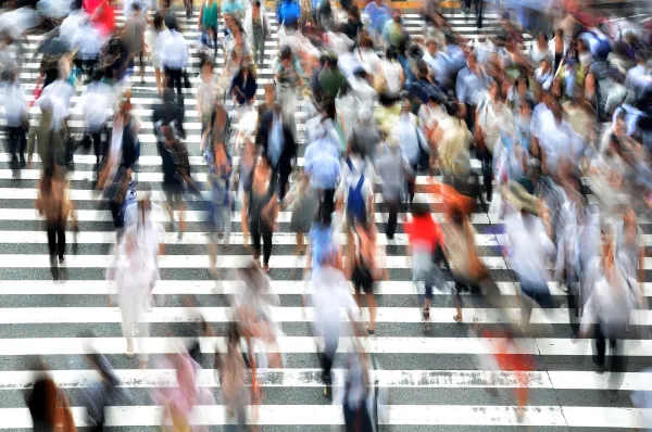People and Organisations