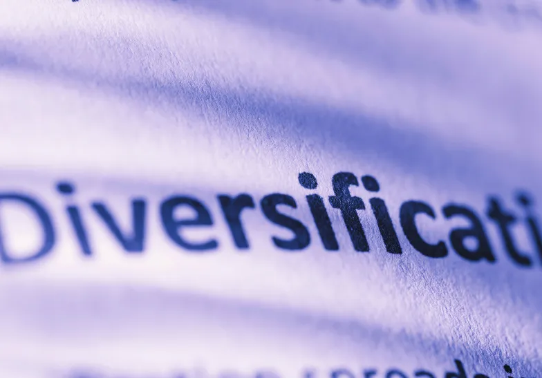 Curriculum Diversification