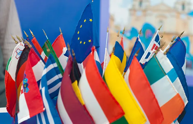 Flags of countries of the European Union organised in a circle around the EU flag.