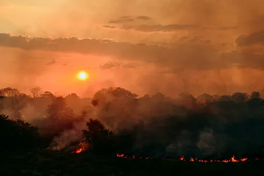 Sunset over a forest on fire