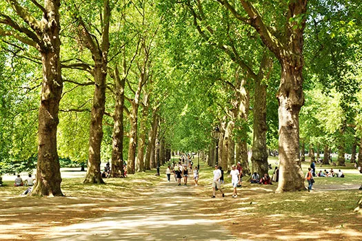 People walking through a tree-lined pathway in Green Park, London