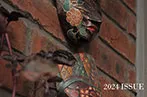 Masks displayed on a wall