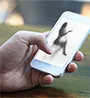 Revenge Porn Legal Advice