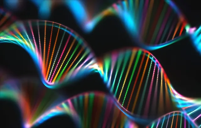 double stranded DNA