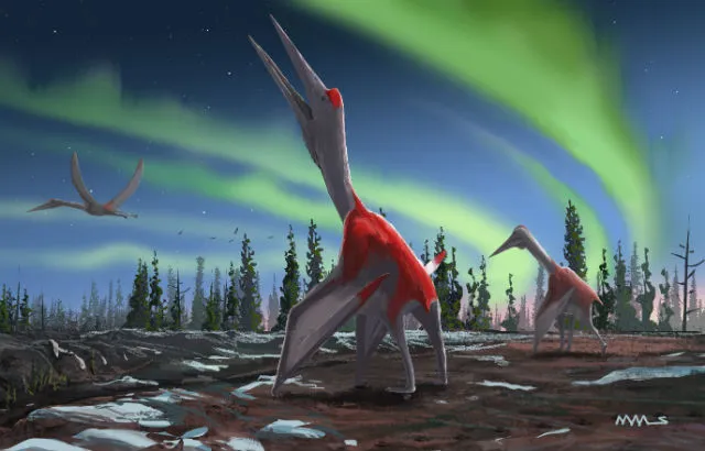 Cryodrakon boreas. Credit David Maas