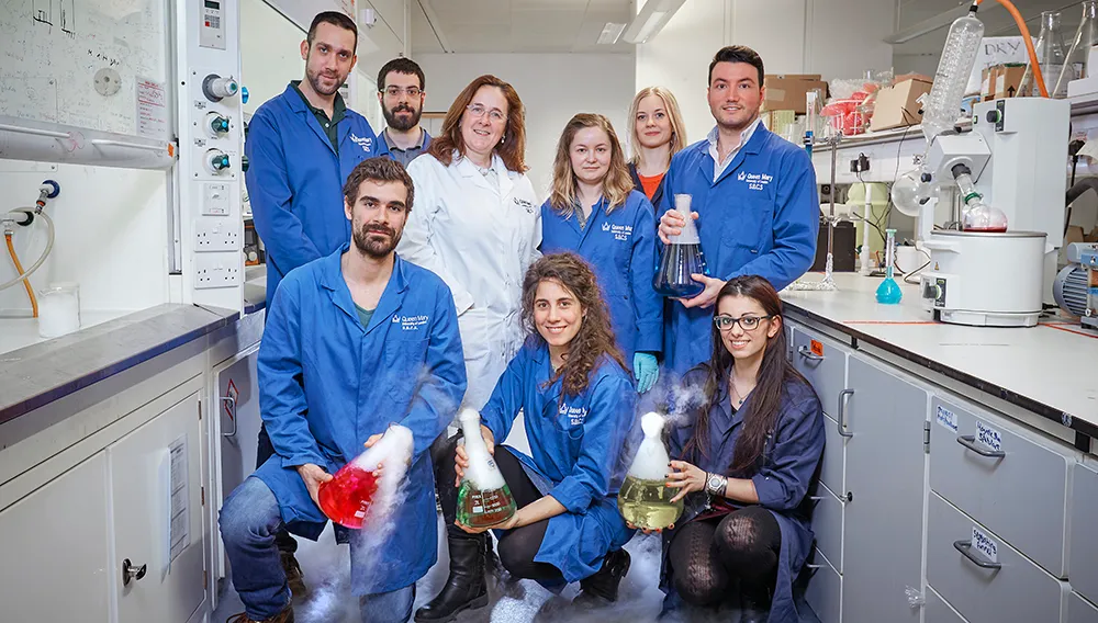 Professor Marina Resmini's group