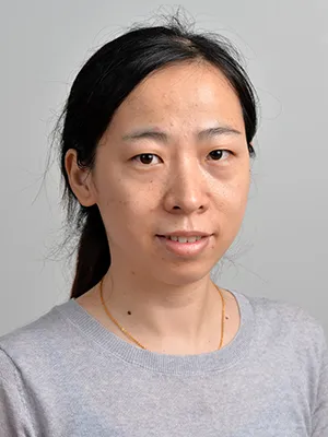 Hui Zhang