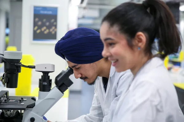 Postgraduate Study and Research