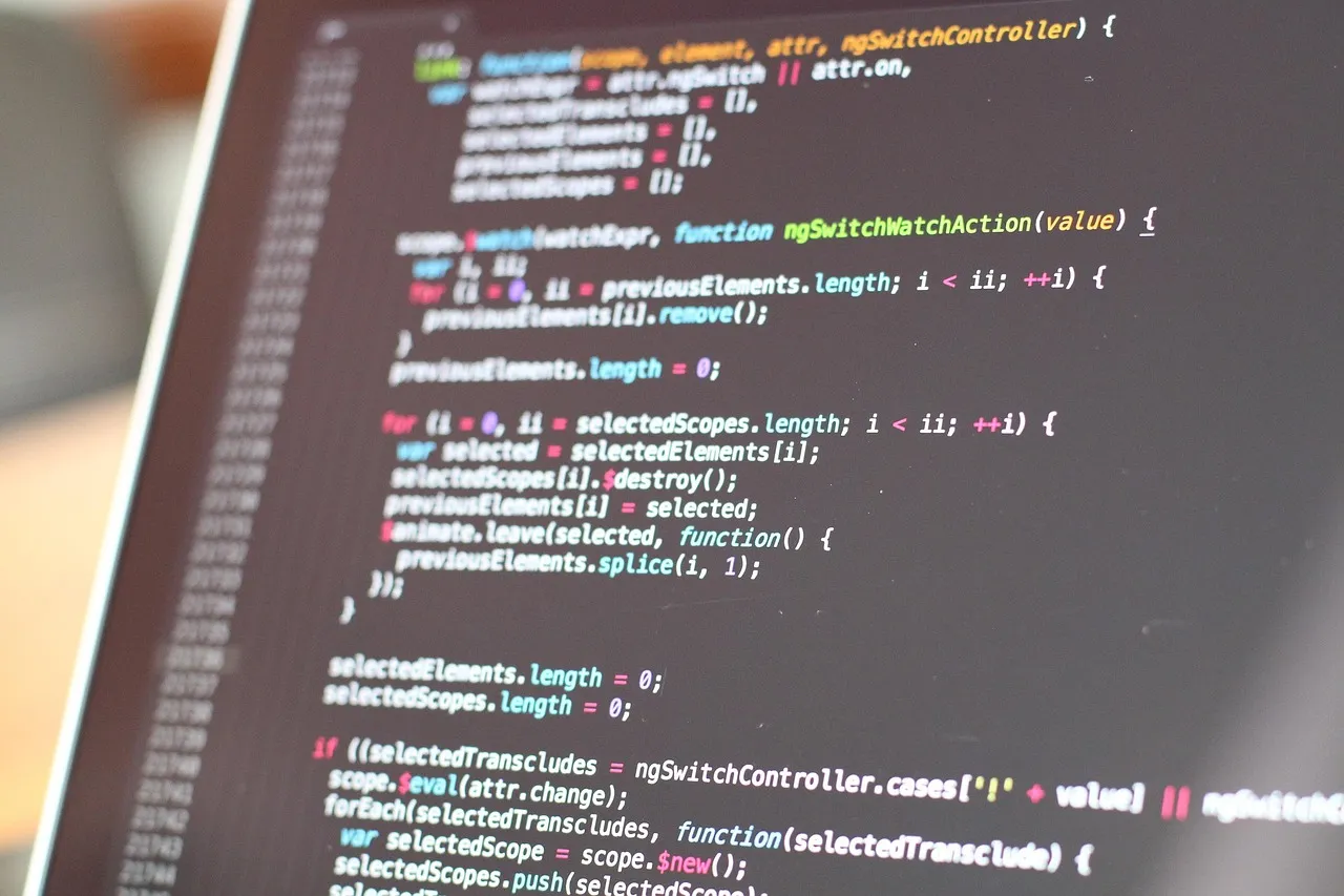 Software code