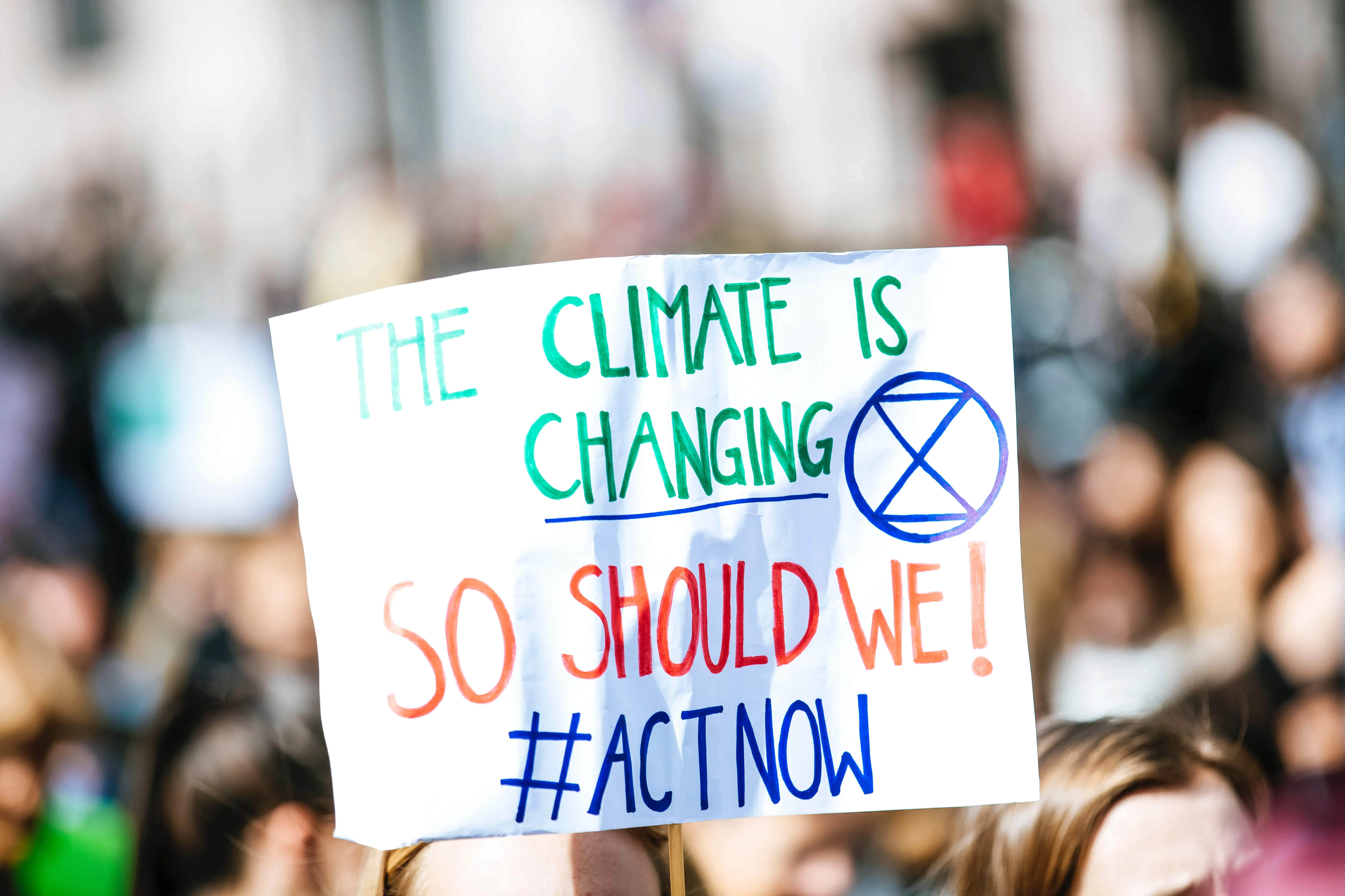 Webinar: Democracy and Climate Change