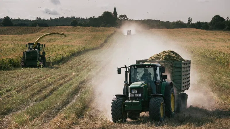 Photo of a tractor and combine harvesting a field of arable crops on a sunny day. The tractor is driving towards the camera with a full trailer.