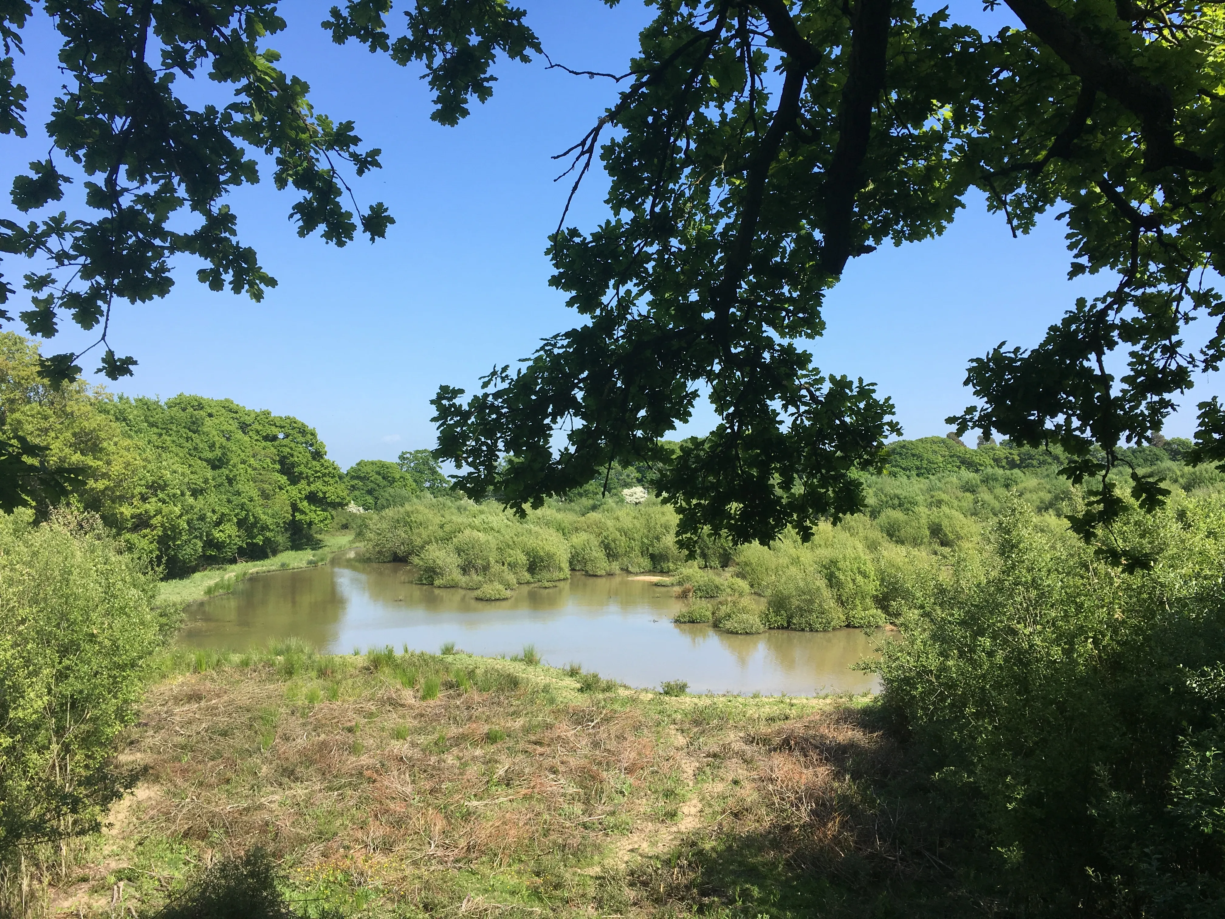 Introducing our pioneering MSc Natural Capital and Sustainability
