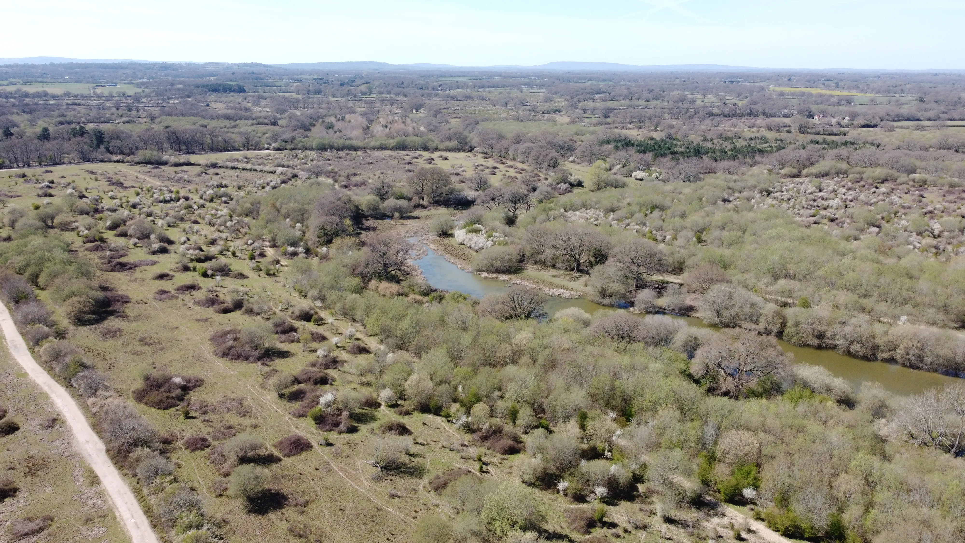 Knepp Estate pioneering rewilding project - veg types