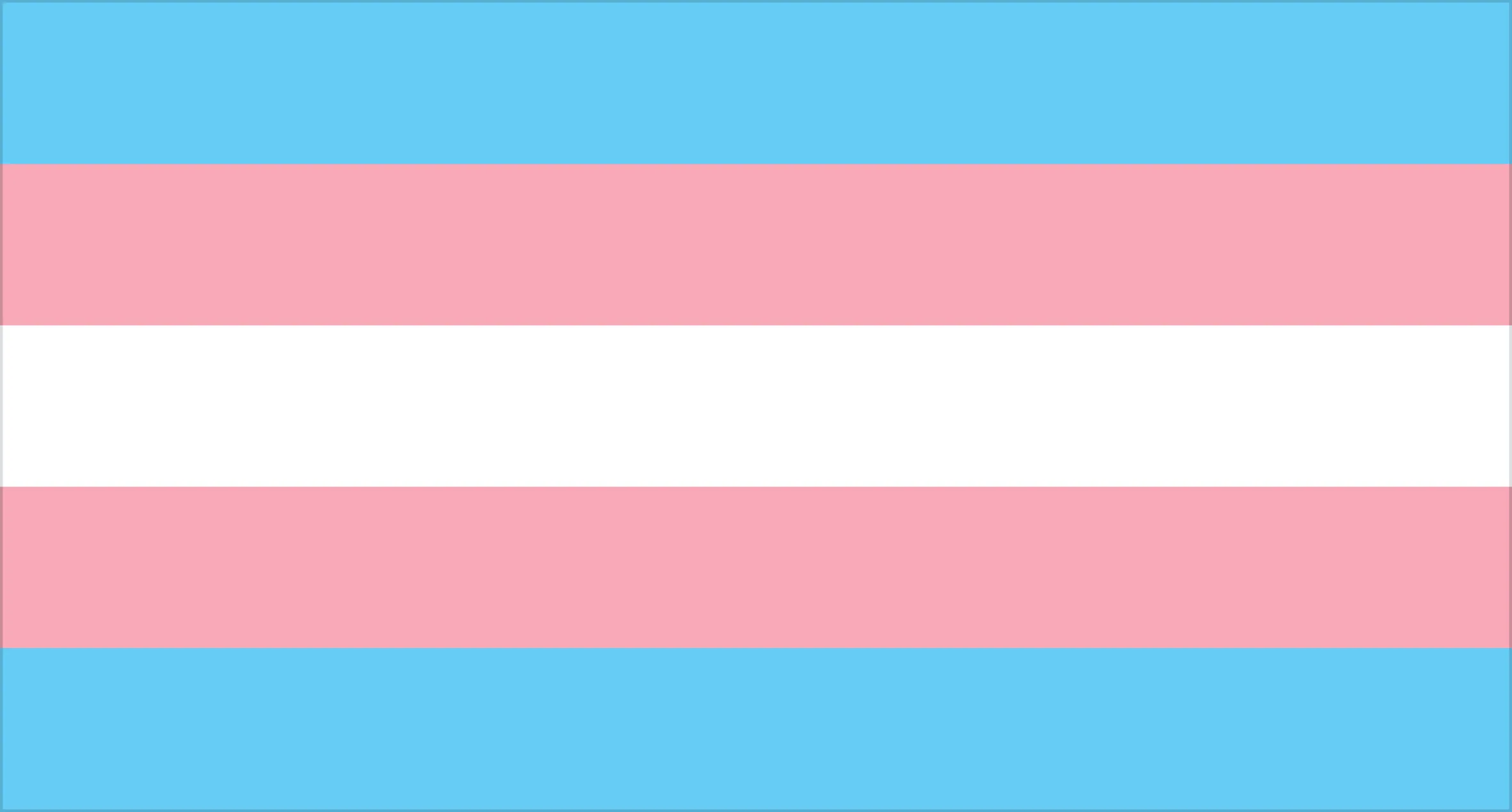 Trans flag