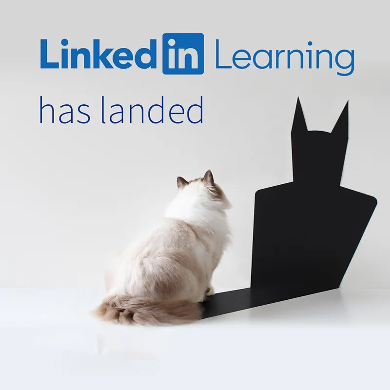 Join in the New Year, New You LinkedIn Learning Challenge - MyQMUL