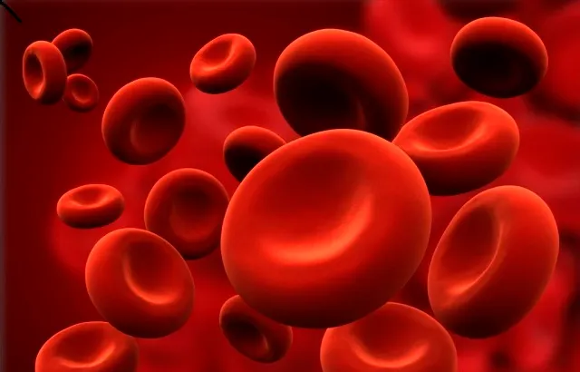 Red blood cells