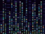 DNA