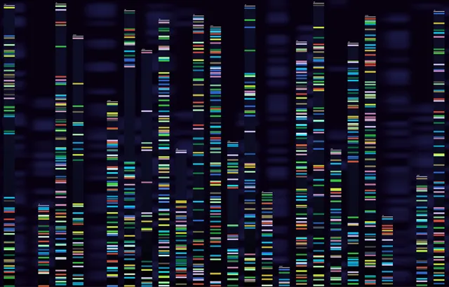DNA