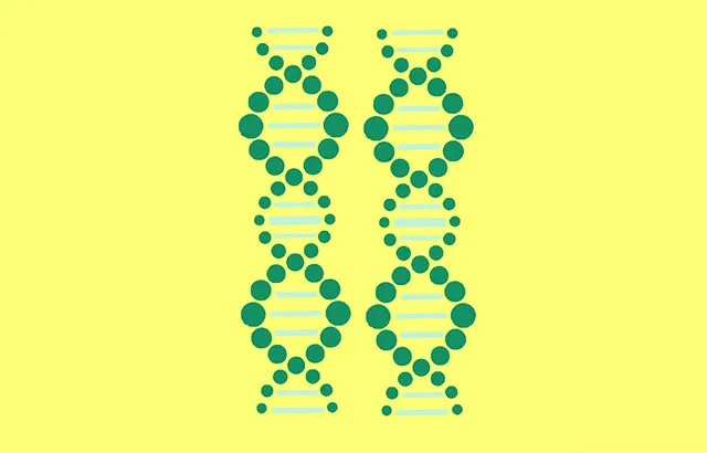 Genetic testing can pick out men at increased risk of testicular cancer