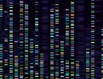 Genomic analysis visualisation