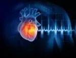 Heart 150