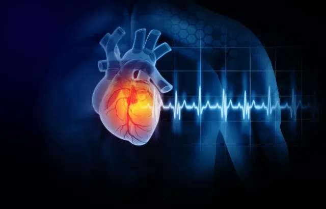Heart