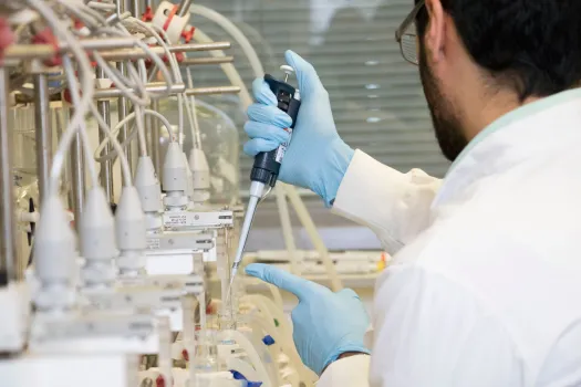 Postgraduate Research
