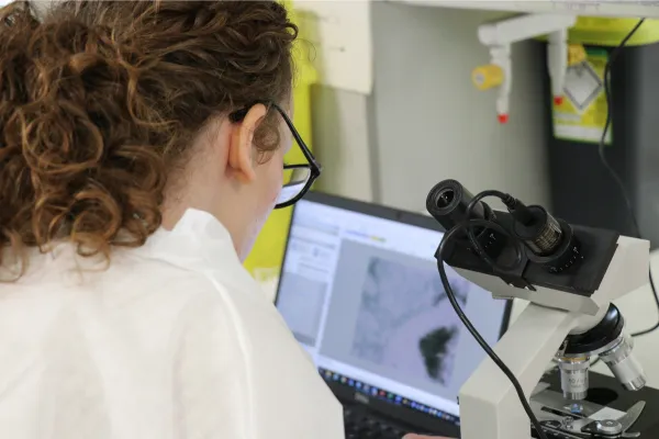 Postgraduate Research