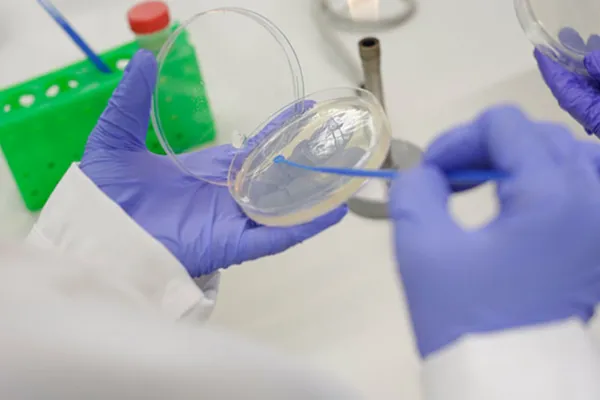 iBSc Pharmacology & Innovative Therapeutics (Intercalated)