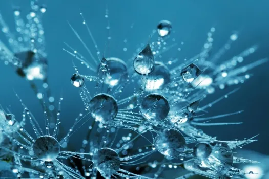 Water droplets