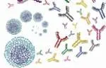 B Cells single cell schematic