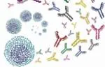 B Cells single cell schematic