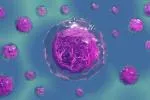 Digital graphics image of cells in purple and blue