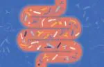 Digital graphic of microbes in the intestines