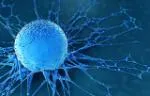 Human Cancer Cell