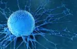Human Cancer Cell