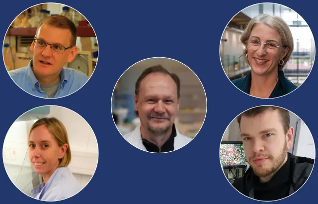 A group of five people with their photos in circle frames