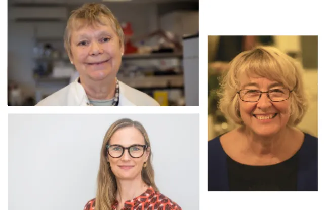 Photo of Frances Balkwill, Irene Leigh and Claudia Langenberg