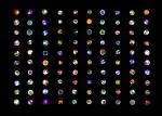 Image of White Blood Cells in Colour produced by Paul Vulliamy