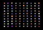 Image of White Blood Cells in Colour produced by Paul Vulliamy