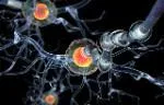 A graphic depicting neurons