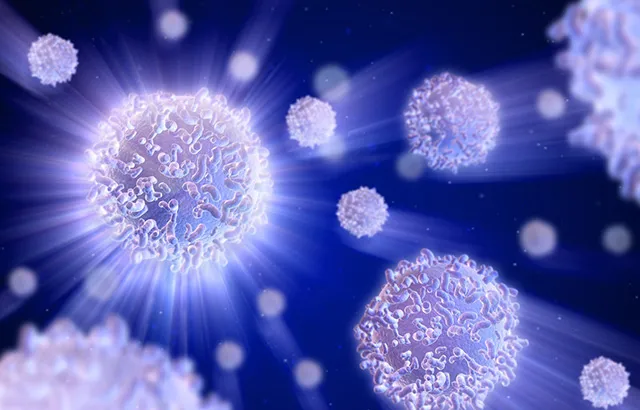 Stel cells illustration
