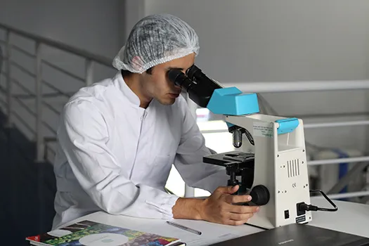 Postgraduate Research