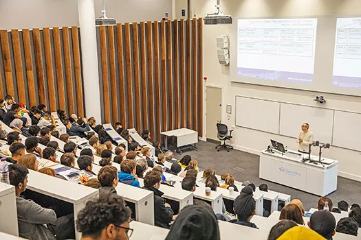 Undergraduate programmes