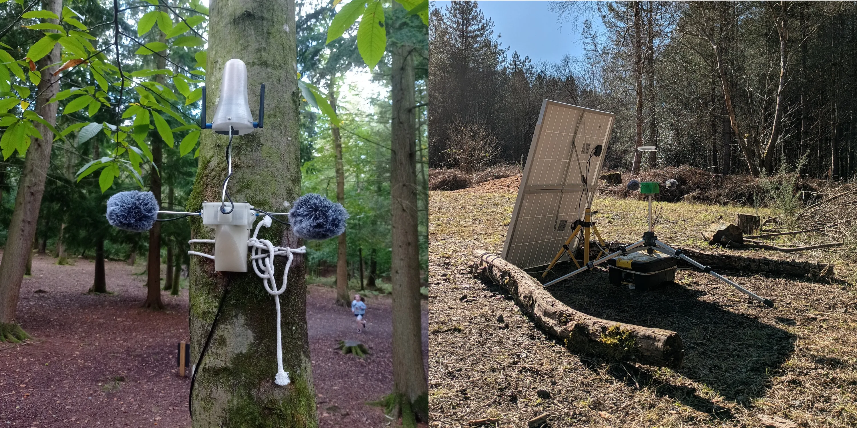 Forest experiments