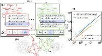 Network Dynamics of Innovation Processes