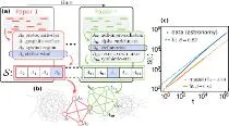 Network Dynamics of Innovation Processes