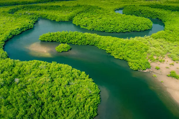 Arial photo of meandering turquoise river through lush green woodland