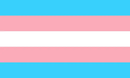 Transgender pride flag