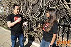 Students holding microphones and recording Yours Lawfully by a Wisteria bush.